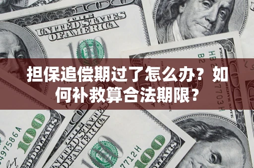 济南担保追偿期过了怎么办？如何补救算合法期限？