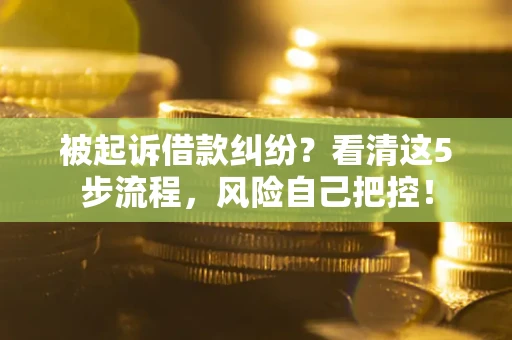 济南被起诉借款纠纷？看清这5步流程，风险自己把控！